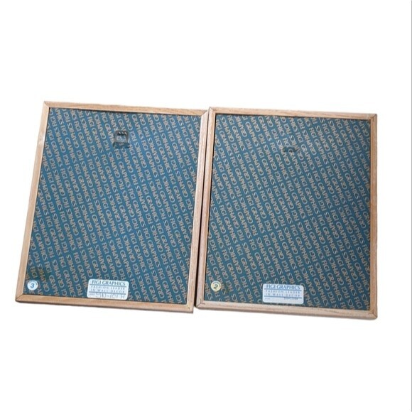 Hand cast paper flowers framed set of 2 Figi graphics signed vintage wall decore - Picture 2 of 9